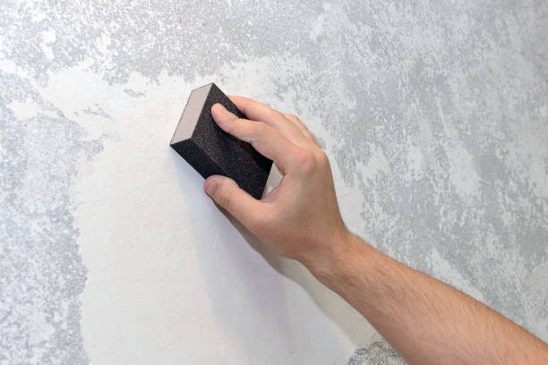 Best Residential Mold Inspection & Testing  in Louisa, KY