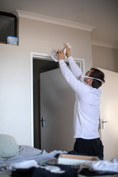 Best Water Damage & Mold Remediation  in Louisa, KY