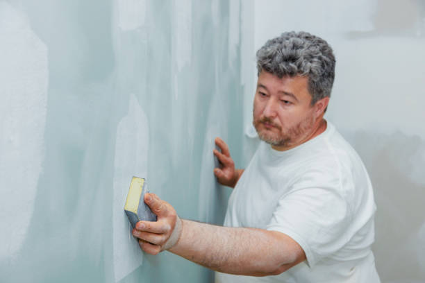 Professional Mold Removal in Louisa, KY