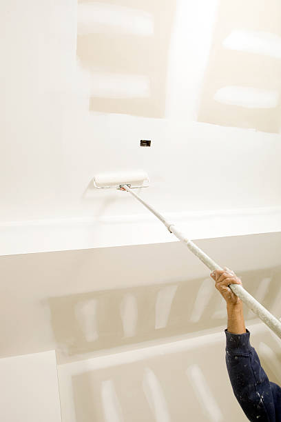 Best Real Estate Mold Inspection  in Louisa, KY