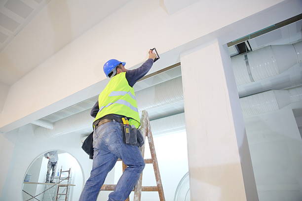 Best Basement Mold Removal  in Louisa, KY