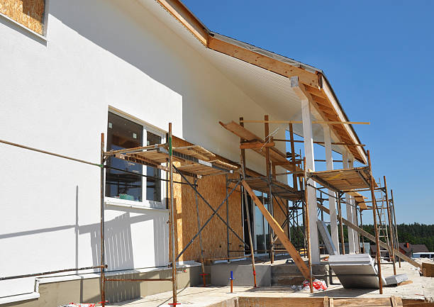 Best Mold Damage Restoration  in Louisa, KY